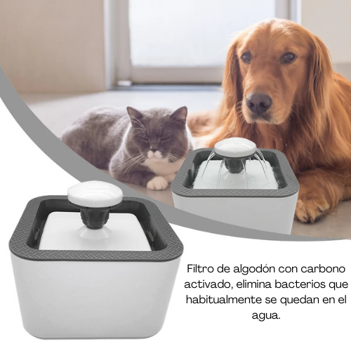 Fuente De Agua Para Perros y Gatos